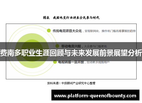 费南多职业生涯回顾与未来发展前景展望分析