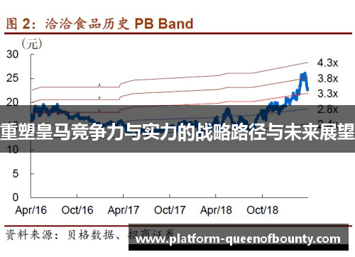 重塑皇马竞争力与实力的战略路径与未来展望 重塑皇马竞争力与实力的战略路径与未来展望
