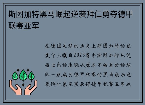 斯图加特黑马崛起逆袭拜仁勇夺德甲联赛亚军